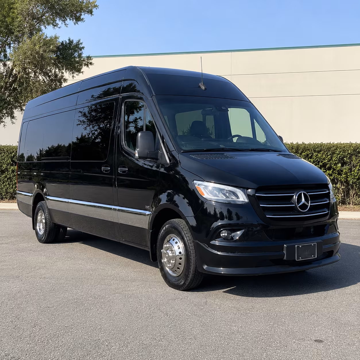 wyoming sprinter van with driver